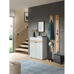 Merkloos Hioshop Naro schoenenkast 2 deuren- 1 lade grijs Best