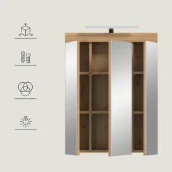 Merkloos Hioshop Scout spiegelkast 2 deuren- 3 spiegeldeuren- 3 planken salvie decor- Outlet