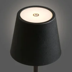 Merkloos Hioshop Senta bureaulamp oplaadbaar zwart Best