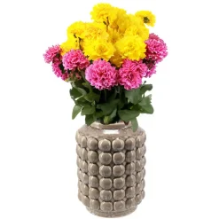 Home & Styling vaas - keramiek/beige - D15 x H20 cm Online