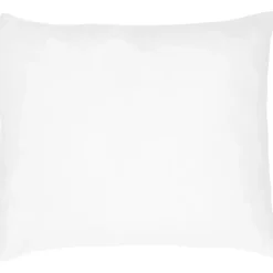 Leen Bakker Hoofdkussen Basic - traagschuim - 50x60 cm Online