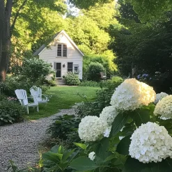 Plant in a Box Hortensia - Hydrangea 'Strong Annabelle' - Hoogte 30-40cm - ⌀19cm Clearance