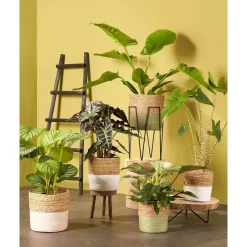 House of Seasons Ladderrek - L29 x B49 x H119 cm - Zwart