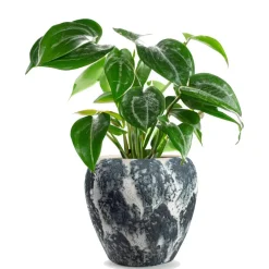 Jodeco Plantenpot/bloempot Marble - wit/zwart - keramiek - D29 x H26 cm Discount