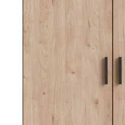 Leen Bakker Kledingkast Sprint 2-deurs - eikenkleur - 200x98,5x50 cm Hot