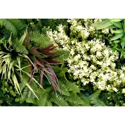 IVOL Kunsthaag wandpaneel - Mix blad C - 100x100 cm Best