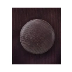 Loft24 Lisa - Kledingkast met 2 deuren van bruin dennenhout Best