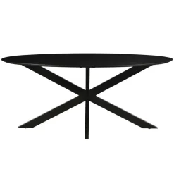 Livingfurn - Eetkamertafel Oslo Oval Black 160 cm - Mangohout Discount