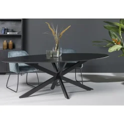 Livingfurn - Eetkamertafel Oslo Oval Black 160 cm - Mangohout Discount
