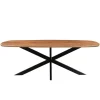 Livingfurn - Eetkamertafel Jesper Danish Oval 210cm - Mangohout Online