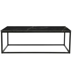 Livingfurn - Salontafel Dion - 60x120x40 - Marmer Best