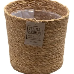 Plant in a Box Luchtzuiverende kamerplanten - Set van 5 - Met mand - Hoogte 25-40cm - ⌀12cm Discount