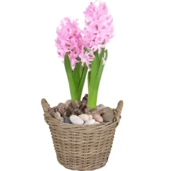 Mega Collections Plantenmand - rotan - naturel - D20 x H16 cm