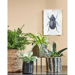 Mica Decorations Atlantic Mand voor Planten Set van 3 Sale