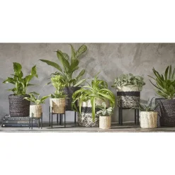 Mica Decorations Bloempot - rotan - zwart - jute - 20 x 20 cm