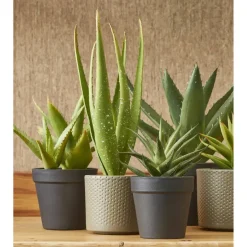 Mica Decorations Bloempot - taupe - keramiek - D13 x H12 cm Online