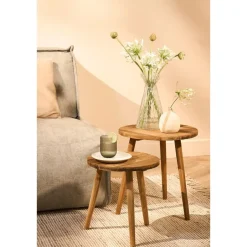 Mica Decorations Bold Bijzettafel - Ø33 cm - Gerecycled Hout - Bruin New