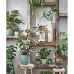 Mica Decorations Daan Bloempot - H20,5 x Ø21,5 cm - Groen New