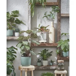 Mica Decorations Daan Bloempot - H17,5 x Ø19 cm - Groen Discount