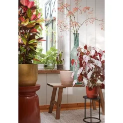 Mica Decorations Jay Vaas - L18,5 x B10,5 x H25 cm - Glas - Lichtgroen Hot