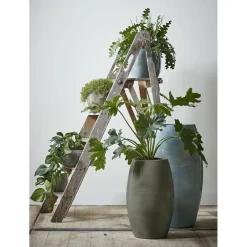 Mica Decorations Lester Vaas - H50 x Ø30 cm - Terracotta - Groen Discount