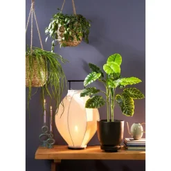 Mica Decorations Planten/bloempot Tusca - Zwart - D28/H25 cm Clearance