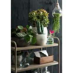 Mica Decorations Plantenpot - groen - glans - keramiek - 28 x 26 cm