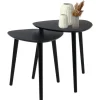 HIXA MISOU Salontafel Set van 2 Bijzettafel Diehoekig Zwart Bijzettafeltje New