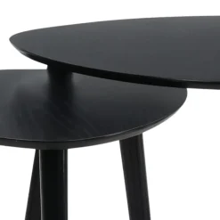 HIXA MISOU Salontafel Set van 2 Bijzettafel Diehoekig Zwart Bijzettafeltje New