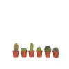 Plant in a Box Mix cactus - Set van 6 - Cactus - Hoogte 5-10cm - ⌀5,5cm Clearance