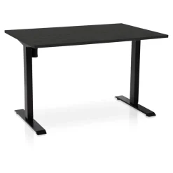 Lineaflex MRC MRC EASY elektrisch ARBO zit-sta bureau - 120x80cm - zwart - zwart eiken Online