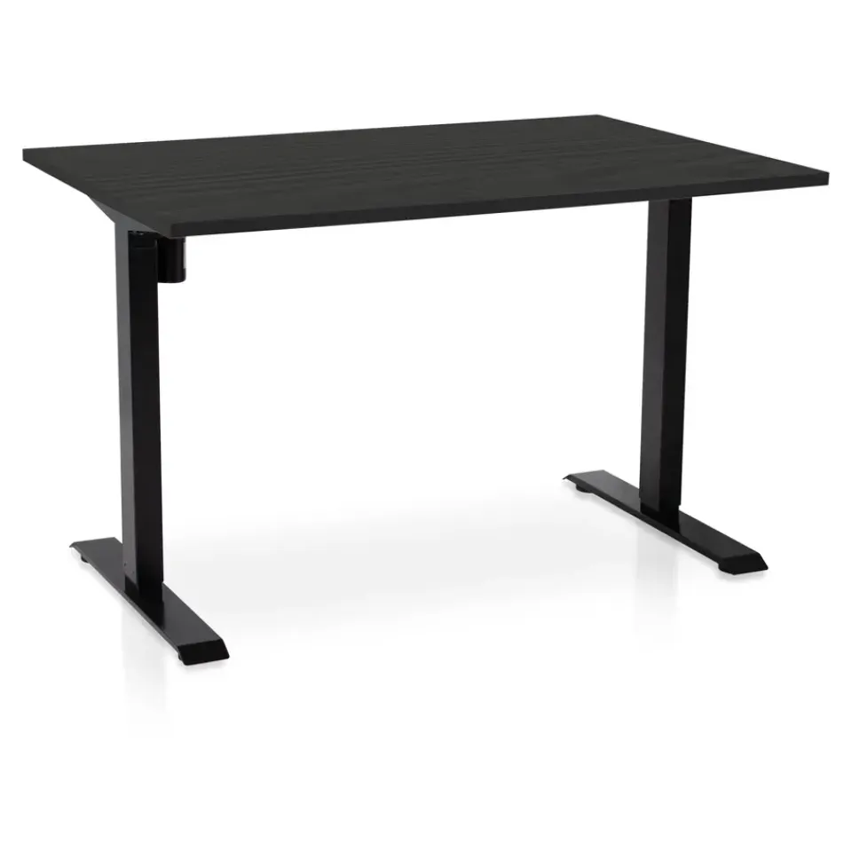 Lineaflex MRC MRC EASY elektrisch ARBO zit-sta bureau - 120x80cm - zwart - zwart eiken Online