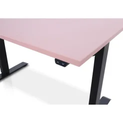 Lineaflex MRC MRC EASY Zit-Sta Bureau – Elektrisch Verstelbaar – 120x80 cm – Blad Dusty Rose New