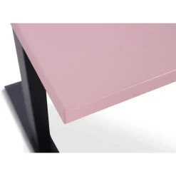 Lineaflex MRC MRC EASY Zit-Sta Bureau – Elektrisch Verstelbaar – 120x80 cm – Blad Dusty Rose New