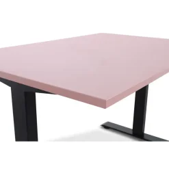Lineaflex MRC MRC EASY Zit-Sta Bureau – Elektrisch Verstelbaar – 120x80 cm – Blad Dusty Rose New