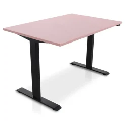 Lineaflex MRC MRC EASY Zit-Sta Bureau – Elektrisch Verstelbaar – 120x80 cm – Blad Dusty Rose New