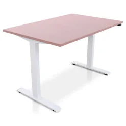 Lineaflex MRC MRC EASY Zit-Sta Bureau – Elektrisch Verstelbaar – 120x80 cm – Blad Dusty Rose Hot