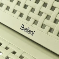 Leen Bakker OSSI - Ligstoel - Lichtgroen - Polypropyleen Discount