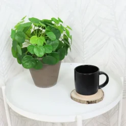 OTIX Koffiekopjes Theemokken Koffietassen Set van 6 Zwart 310 ml Aardewerk Sale