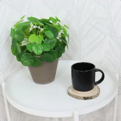 OTIX Koffiekopjes Theemokken Koffietassen Set van 12 Zwart 310 ml Aardewerk Online