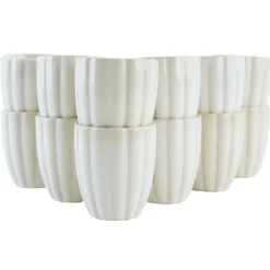 OTIX Koffiekopjes Zonder Oor Set van 12 Koffietassen Theemok 120ml Discount