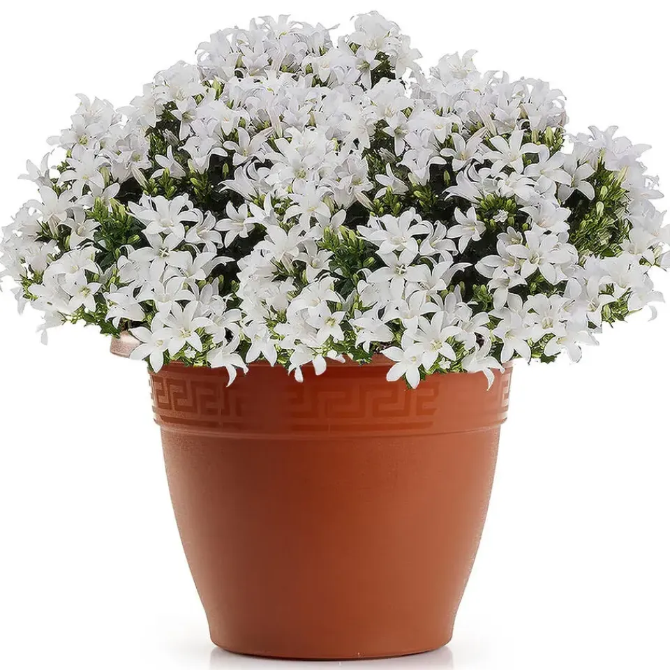 PlasticForte Plantenpot - terracotta bruin - 40x33 cm - kunststof Outlet