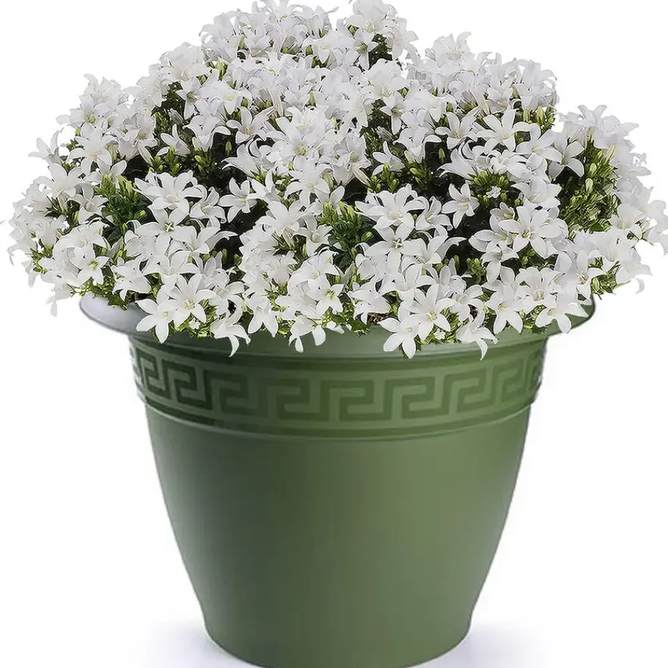 PlasticForte Plantenpot - donkergroen - 50x40 cm - kunststof Outlet