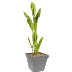 Pro Garden Plantenpot - grijs - D39 x H35 cm - kunststof Clearance