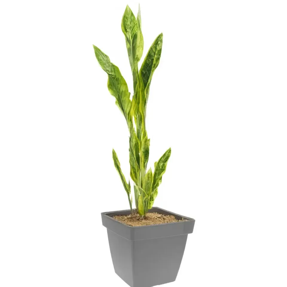 Pro Garden Plantenpot - grijs - D39 x H35 cm - kunststof Clearance