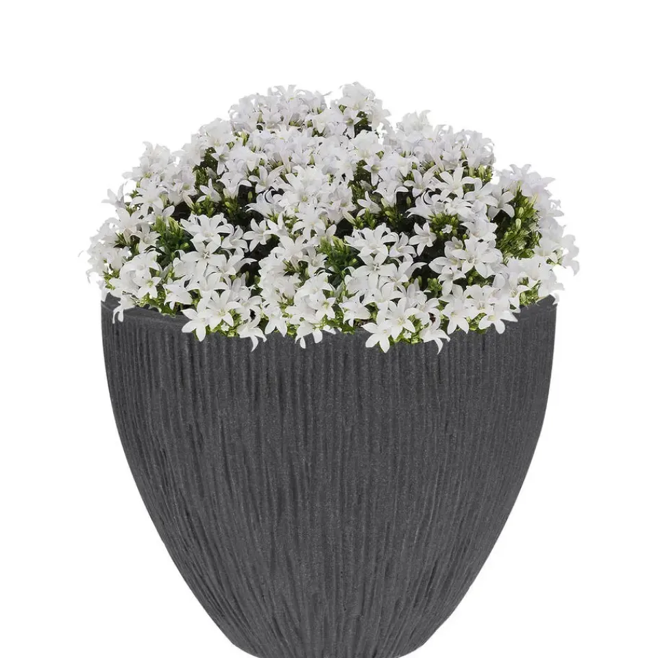 Pro Garden Plantenpot - Tuin - kunststof - antraciet - 31 x 32 cm New