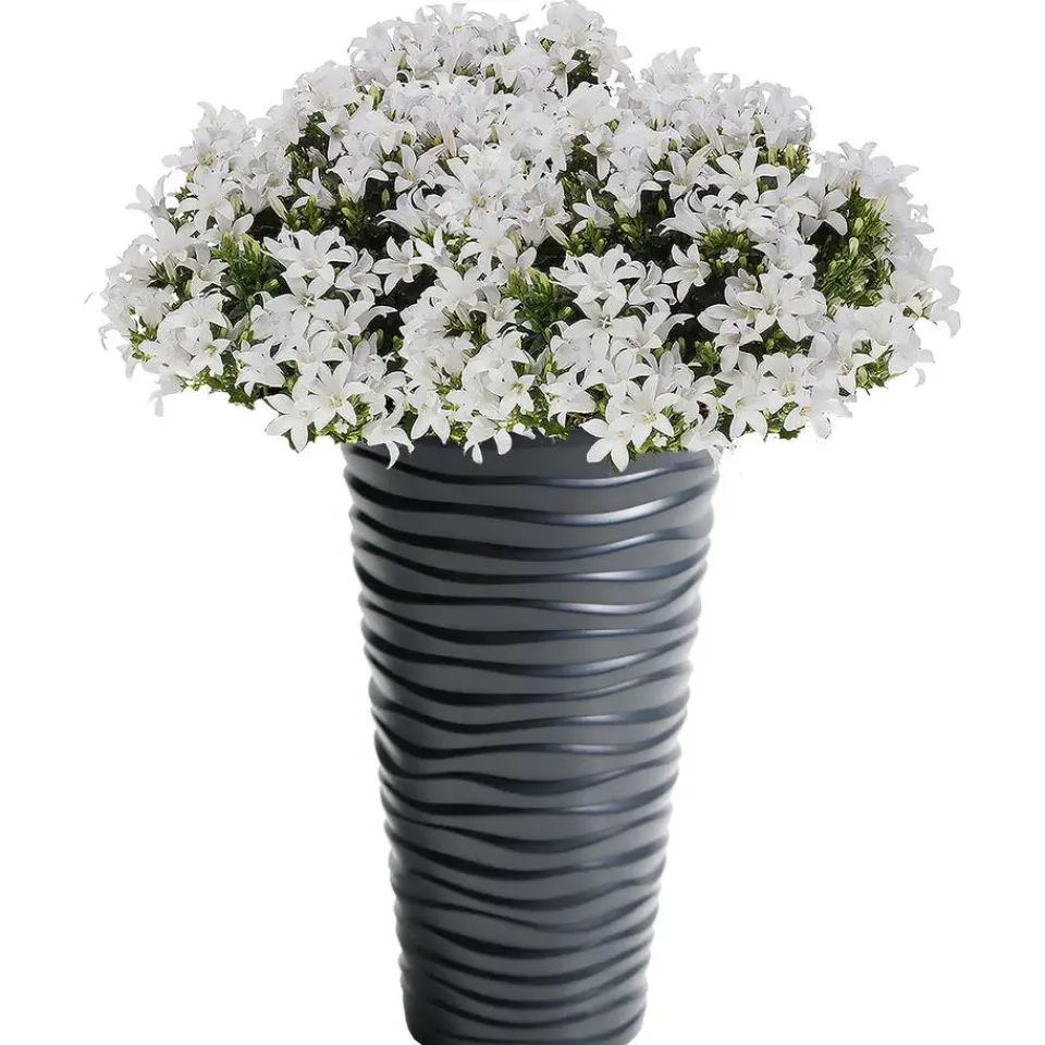 Prosperplast Bloempot Sand - antraciet - kunststof - D30 x H52 cm Sale