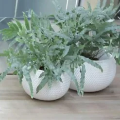 Prosperplast Bloempot Splofy - antraciet - 2300 ml - 18 cm Outlet