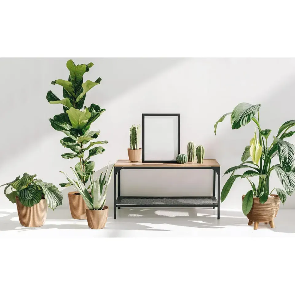 Prosperplast Plantenpot Buckingham - antraciet - D39 cm Online