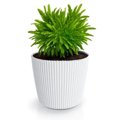 Prosperplast Plantenpot Buckingham - ivoor wit - D39 cm Outlet